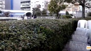 大陆剧《善良的秘书5中字巴巴鱼汤饭》高清免费在线...